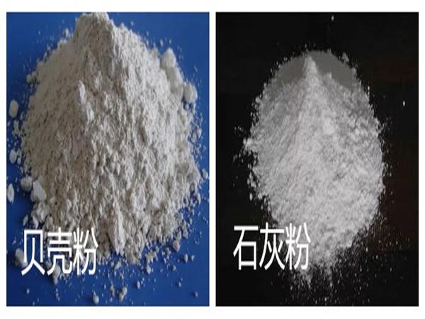 What is the difference between shell powder and lime powder?