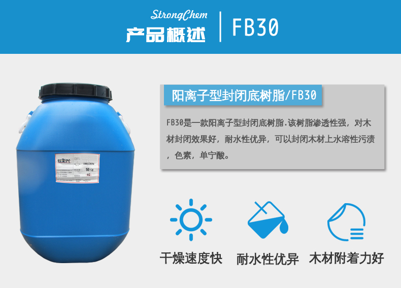 3产品概述fb30.jpg