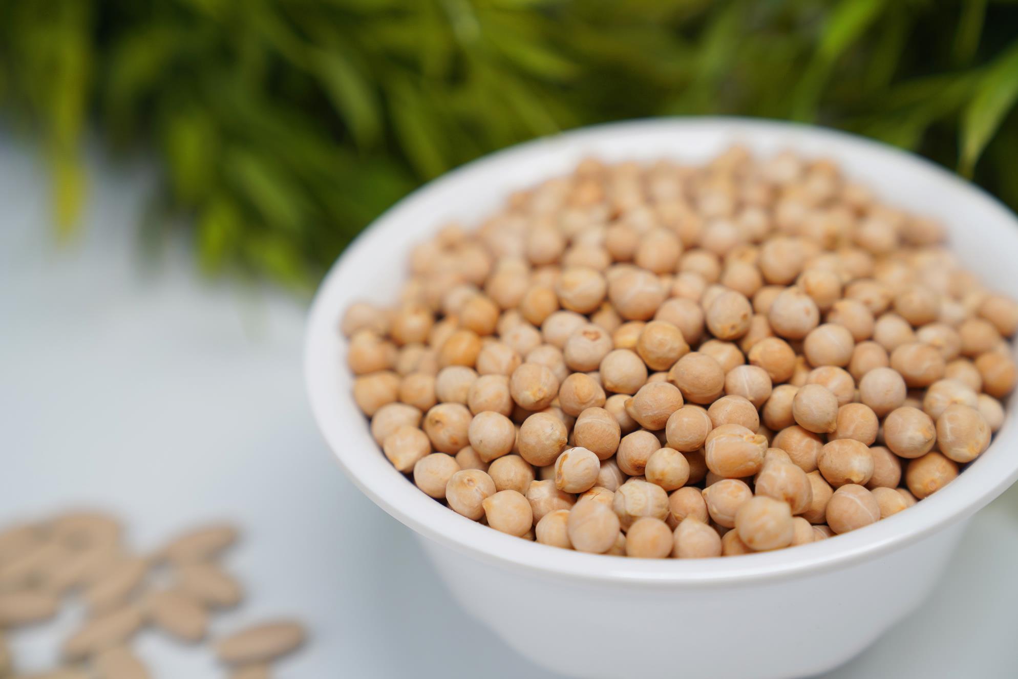 红曲米提取物 实力商家 食品级纳豆红曲粉萃取粉 厂家直销50g/袋_宝恒