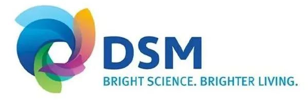 DSM