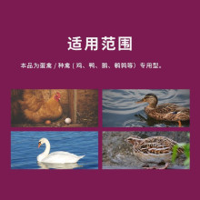 iD4FEED爱迪福酸辣宝 蛋禽鸡鸭提高采食健肠道功能性饲料添加剂
