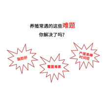 iD4FEED爱迪福爱普顿 胆汁酸兽用家禽种禽用饲料添加剂