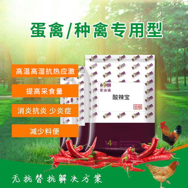 iD4FEED爱迪福酸辣宝 蛋禽鸡鸭提高采食健肠道功能性饲料添加剂 20包/箱