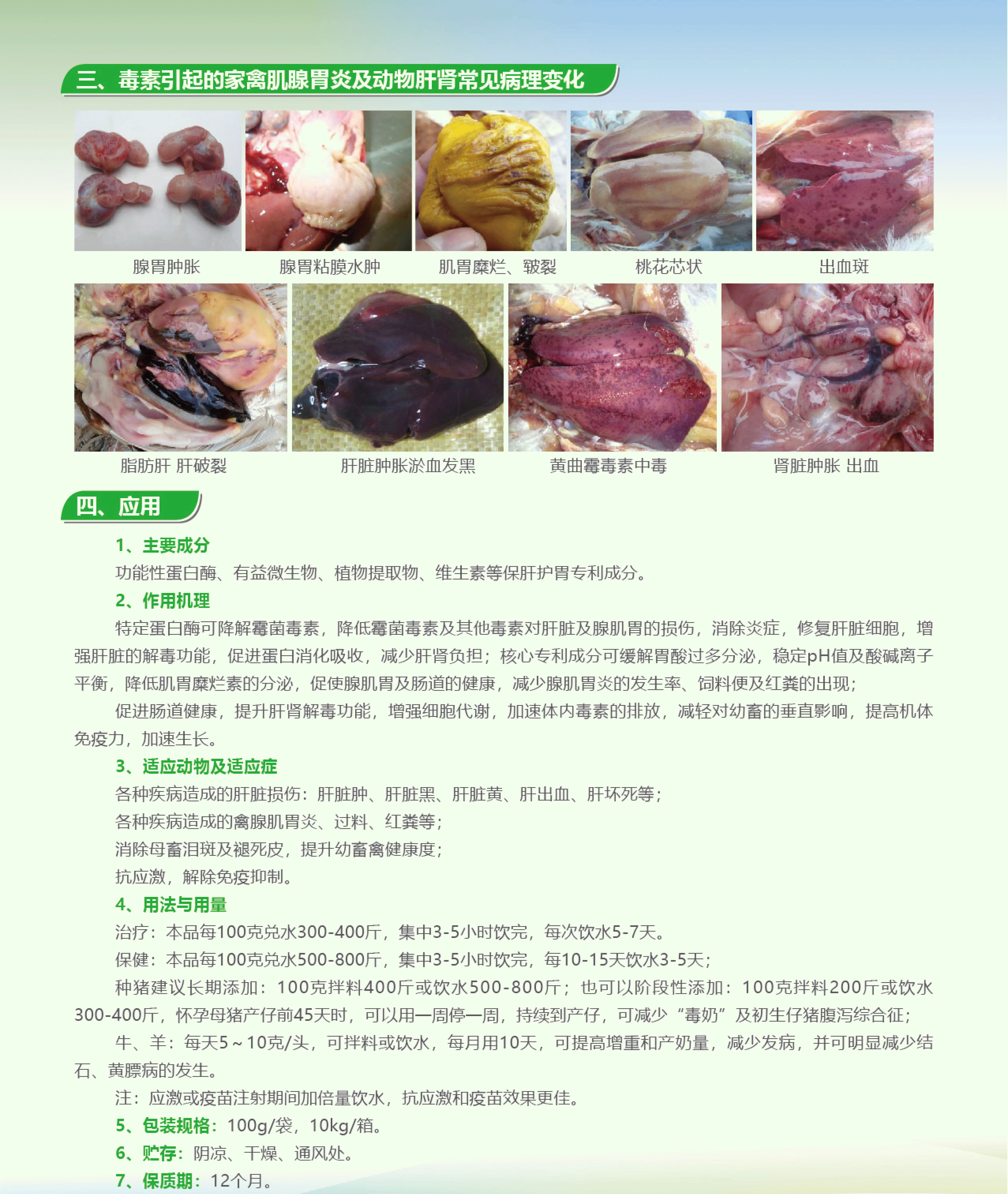 微信图片_20240722101449_01.png