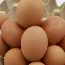 qIX889KcdEbpkzF6zu8zacXRx3za08HsnlwAcMM9.png
