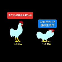 壮骨宝（25-羟基维生素D3） 25公斤/袋