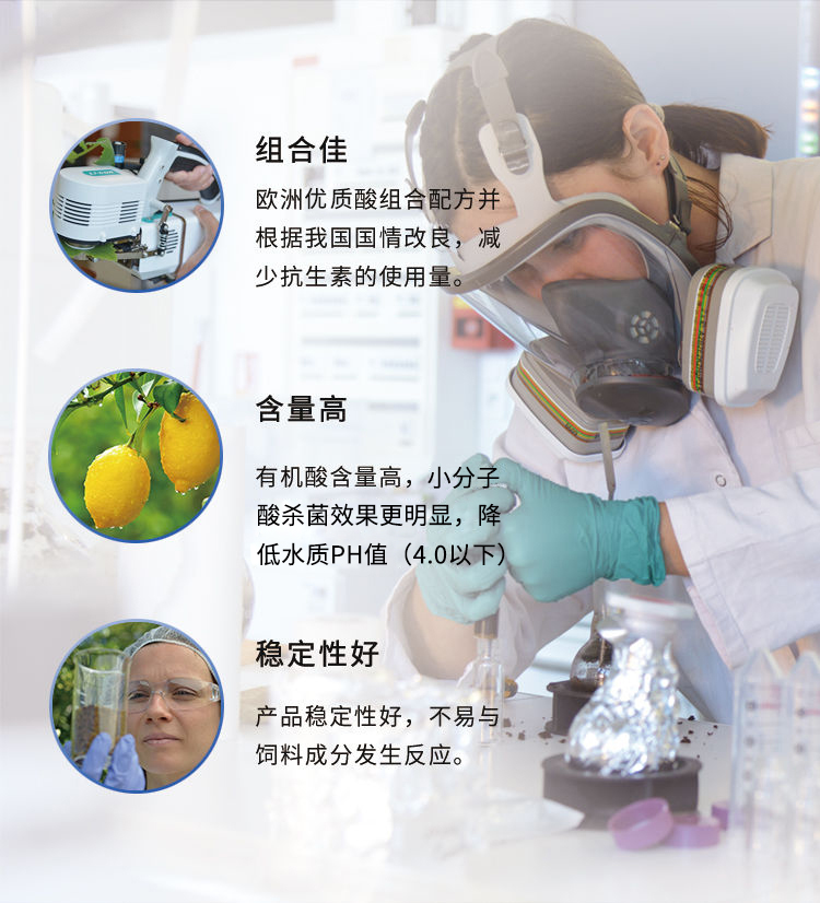 微信图片_20240826144155.jpg