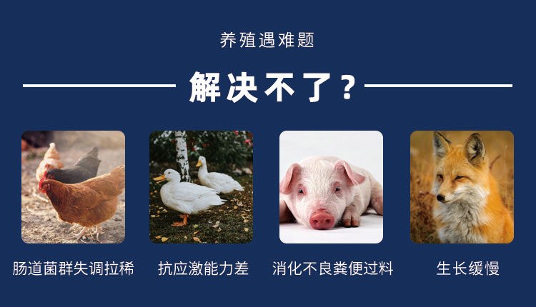 微信图片_20240826144141.jpg