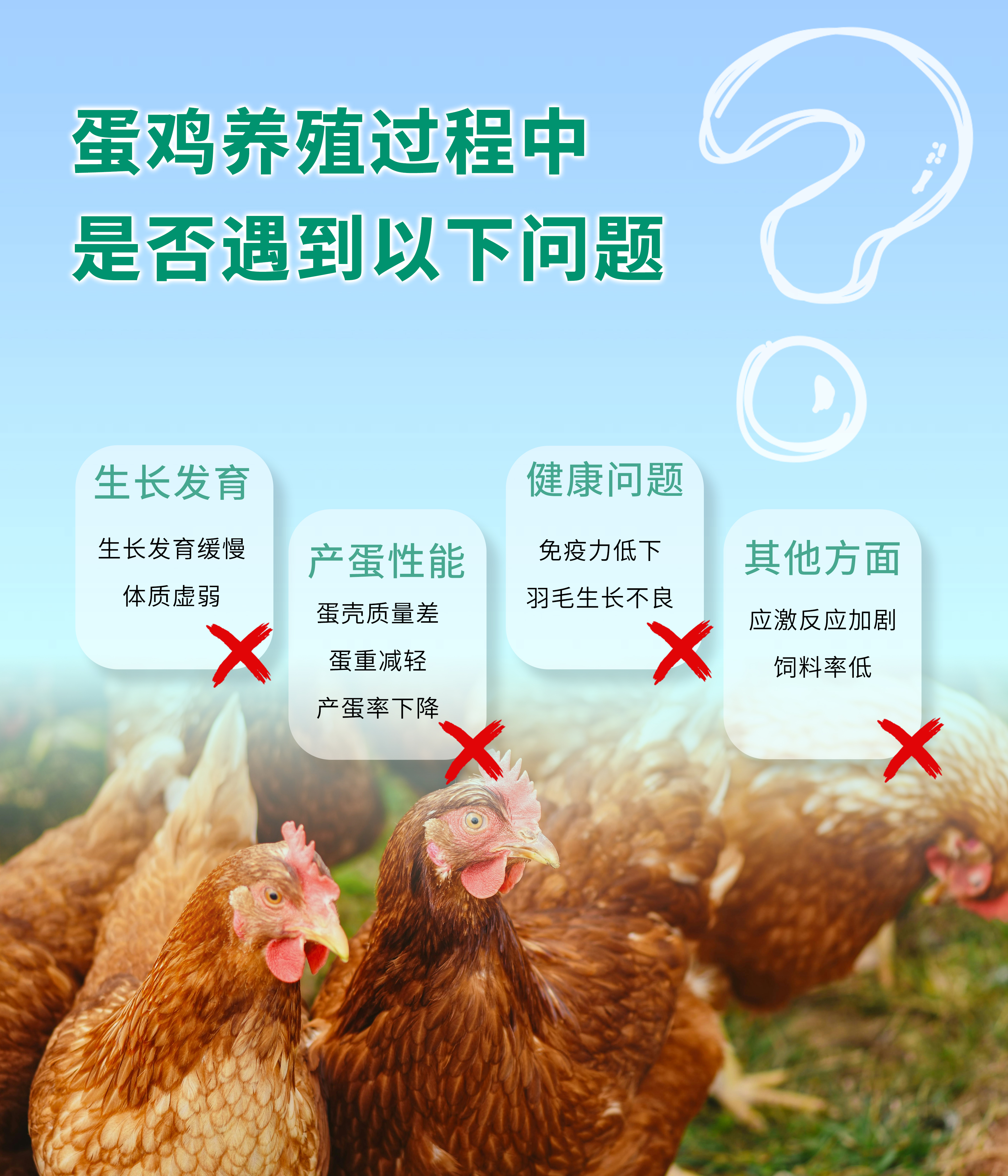 维氨速补详情页-3.jpg