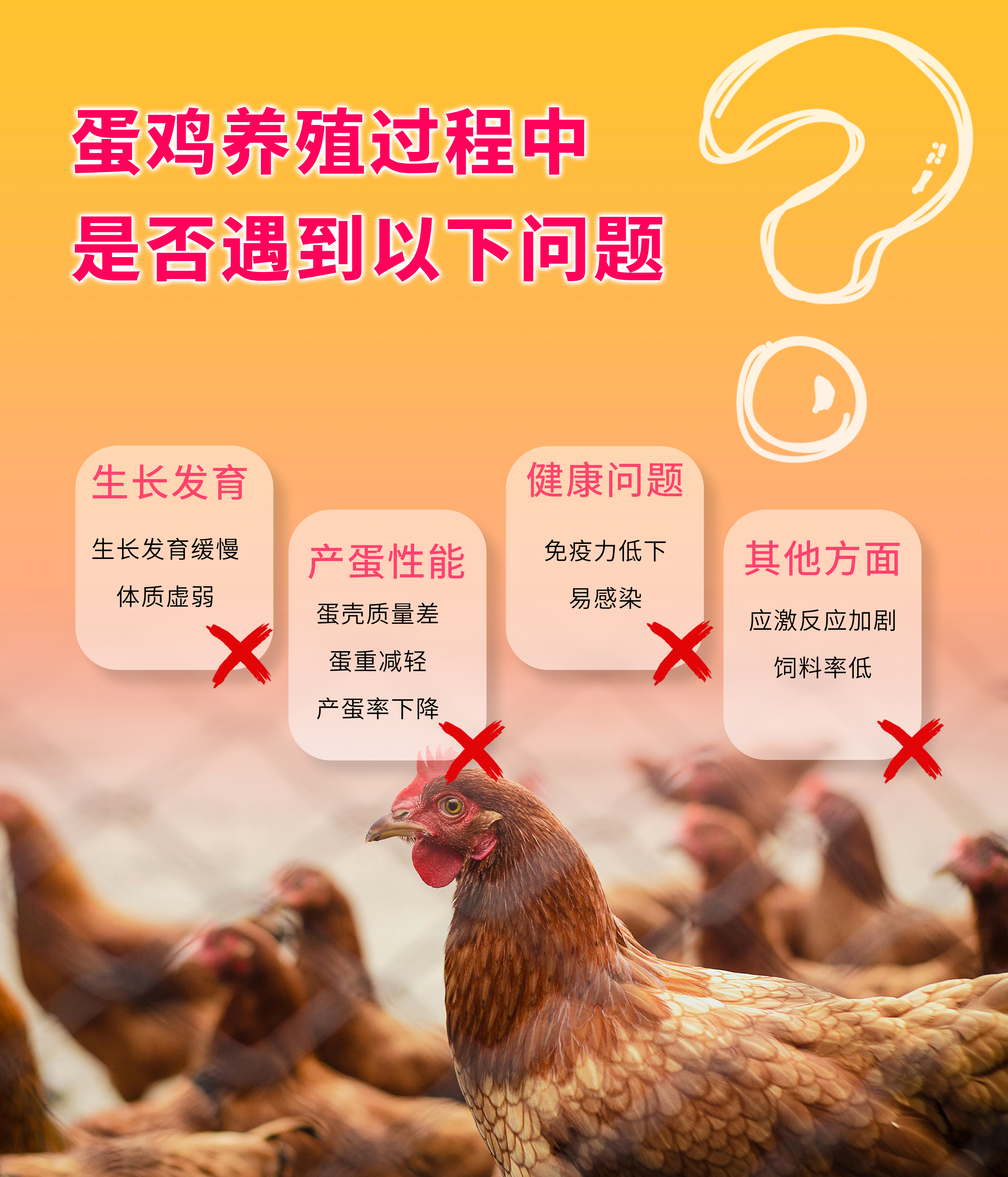 氨基鱼肝油详情页-3.jpg