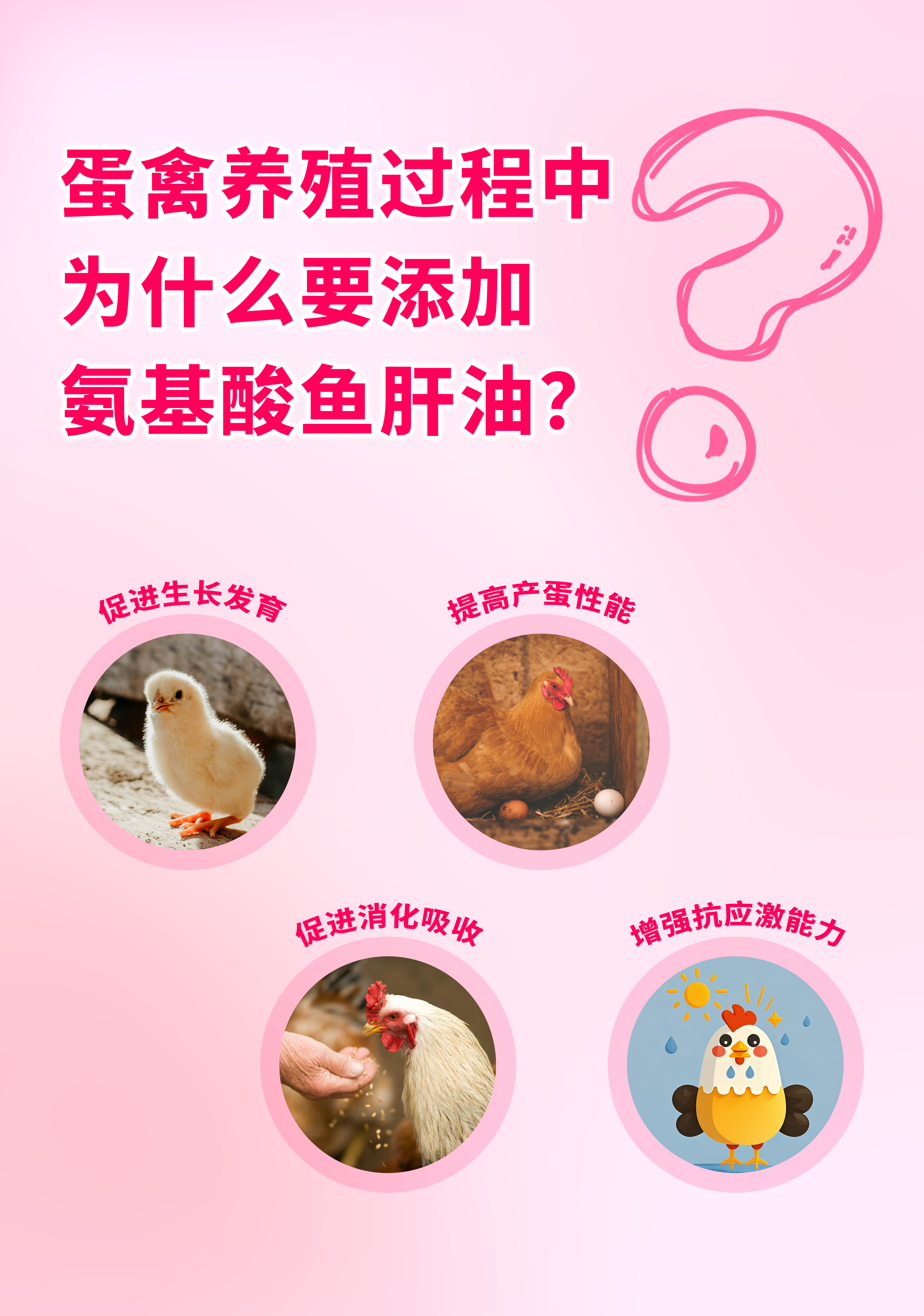 氨基鱼肝油详情页-1.jpg