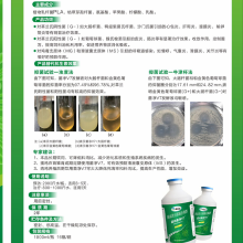 中益达 益达菌净V7 液态复合预混合饲料 250ml/瓶