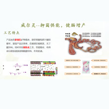 威尔灵 混合型饲料添加剂 三丁酸甘油酯 WY-P1002
