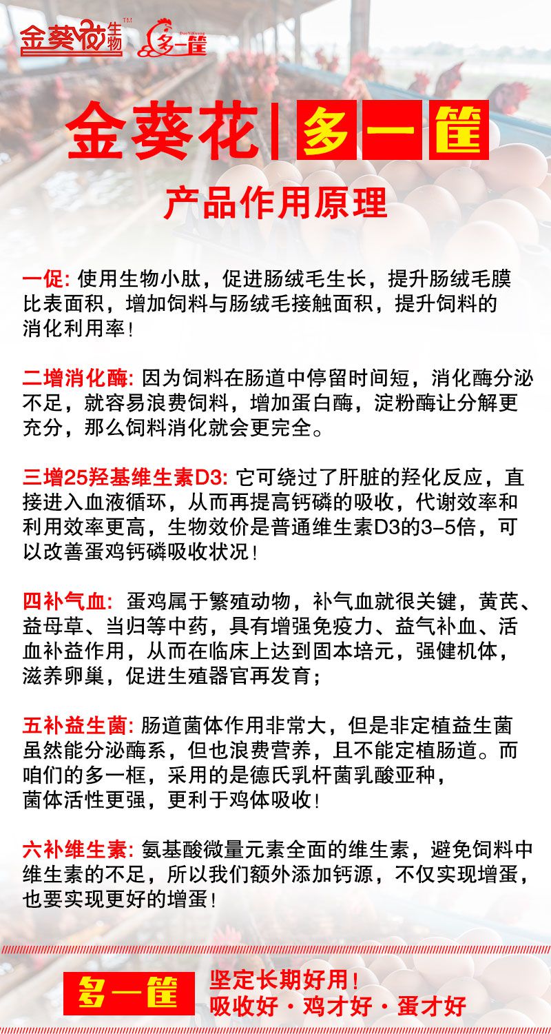 微信图片_20250515103839.jpg