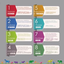 美国艾特维特艾特酶