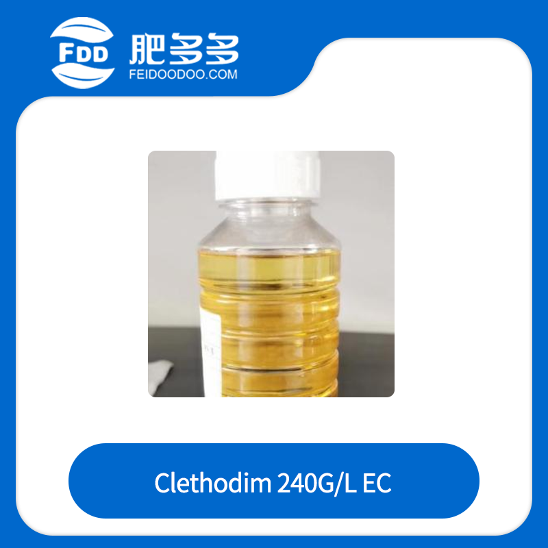 Clethodim 240G/L EC